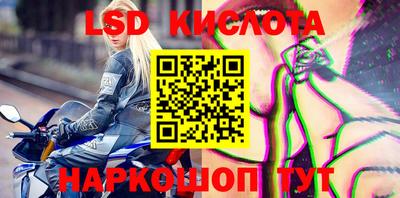 скорость Владимир