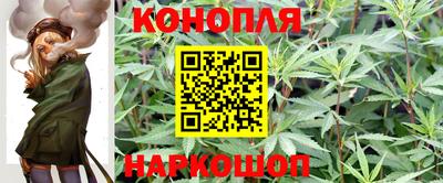 спайс Владивосток