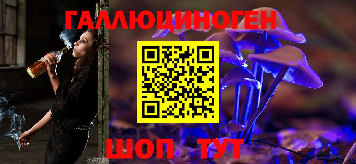Батайск  Псилоцибиновые грибы GOLDEN TEACHER  закладка  Вход с VPN 